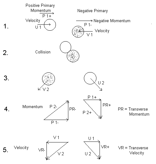 Positive and Negative Primaries